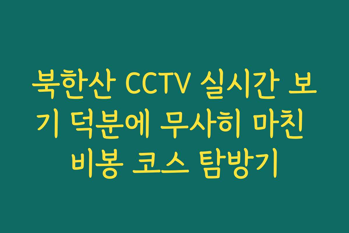 북한산 CCTV 실시간 보기 덕분에 무사히 마친 비봉 코스 탐방기
