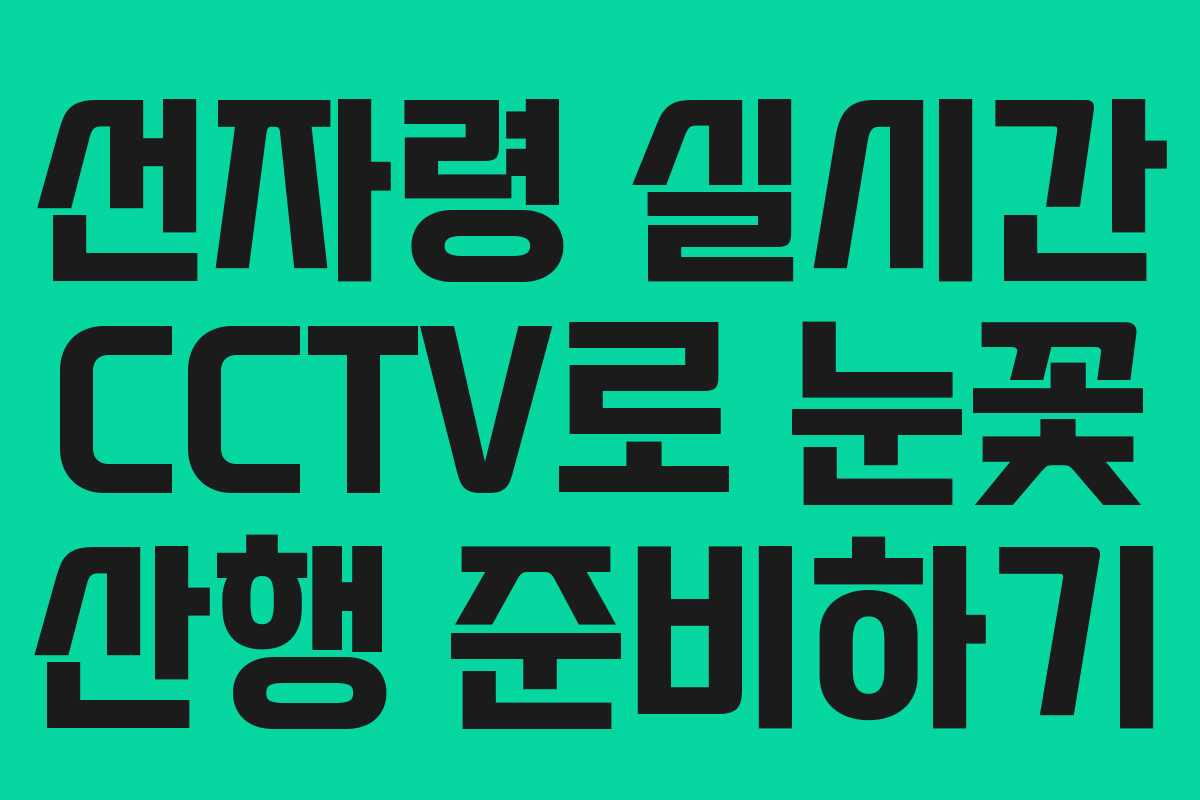 선자령 실시간 CCTV로 눈꽃 산행 준비하기