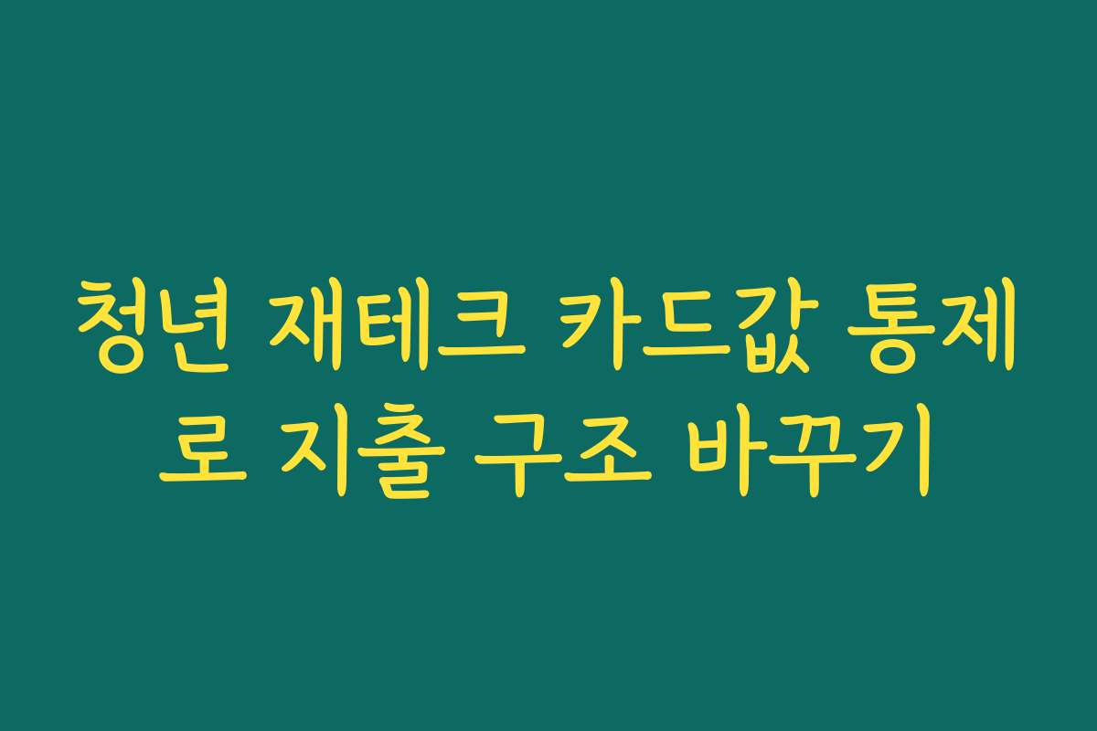 청년 재테크 카드값 통제로 지출 구조 바꾸기