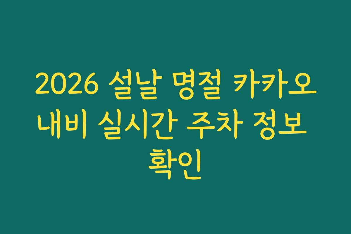 2026 설날 명절 카카오내비 실시간 주차 정보 확인