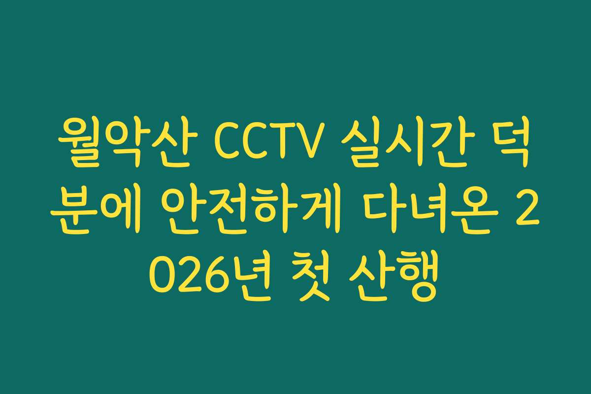 월악산 CCTV 실시간 덕분에 안전하게 다녀온 2026년 첫 산행