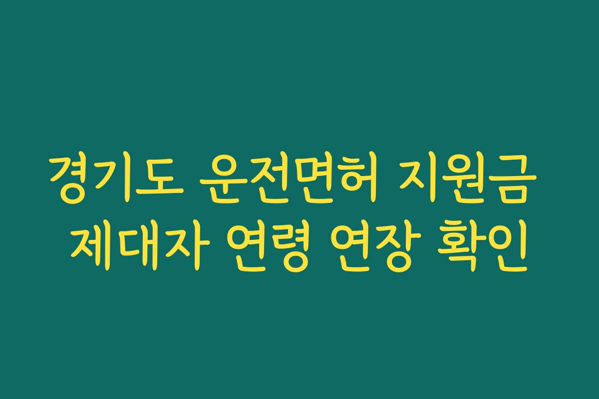 경기도 운전면허 지원금 제대자 연령 연장 확인