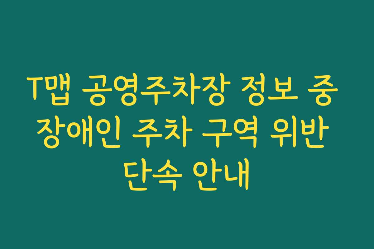 T맵 공영주차장 정보 중 장애인 주차 구역 위반 단속 안내