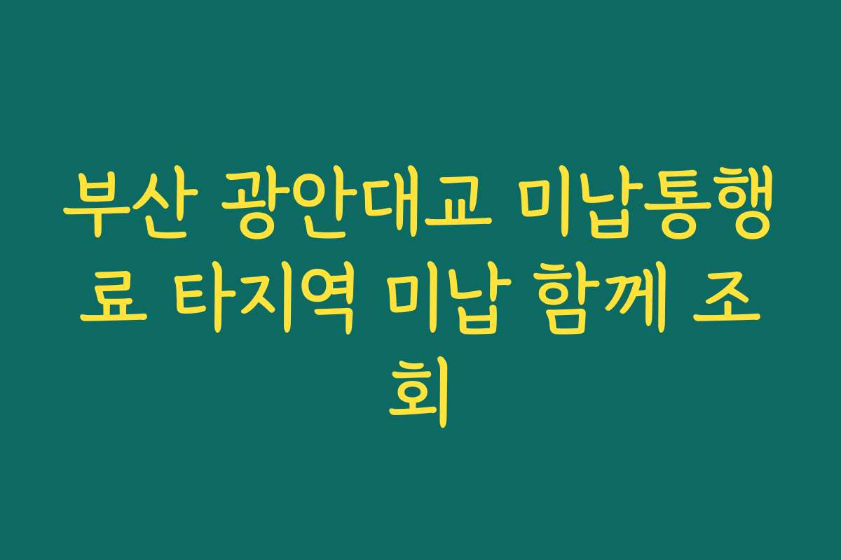 부산 광안대교 미납통행료 타지역 미납 함께 조회