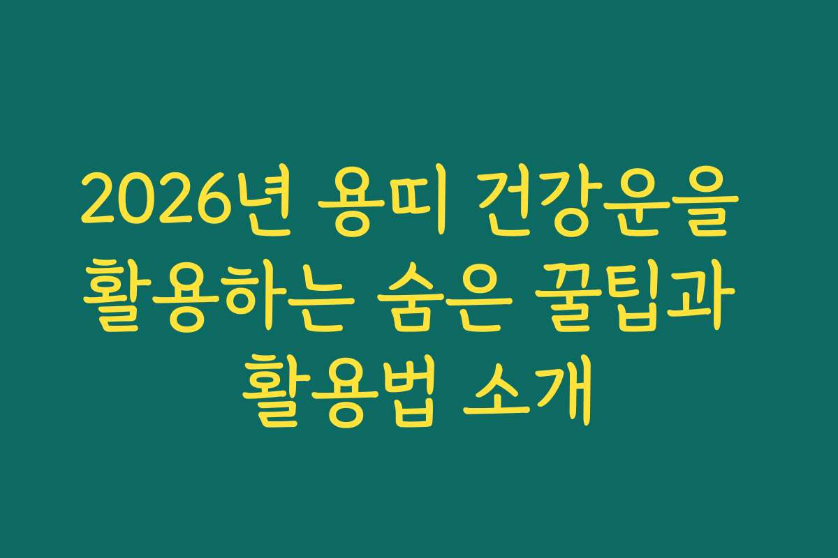 2026년 용띠 건강운을 활용하는 숨은 꿀팁과 활용법 소개