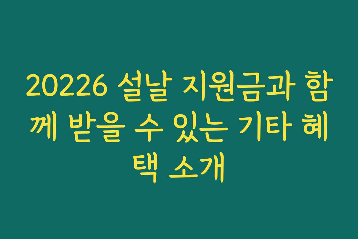 20226 설날 지원금과 함께 받을 수 있는 기타 혜택 소개