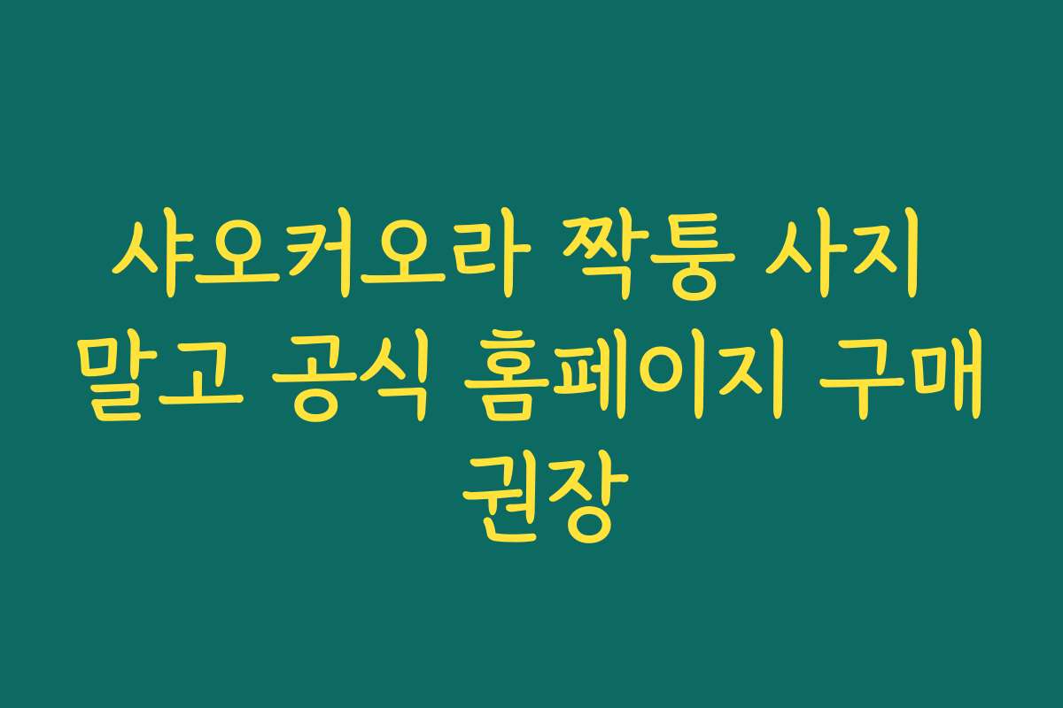 샤오커오라 짝퉁 사지 말고 공식 홈페이지 구매 권장