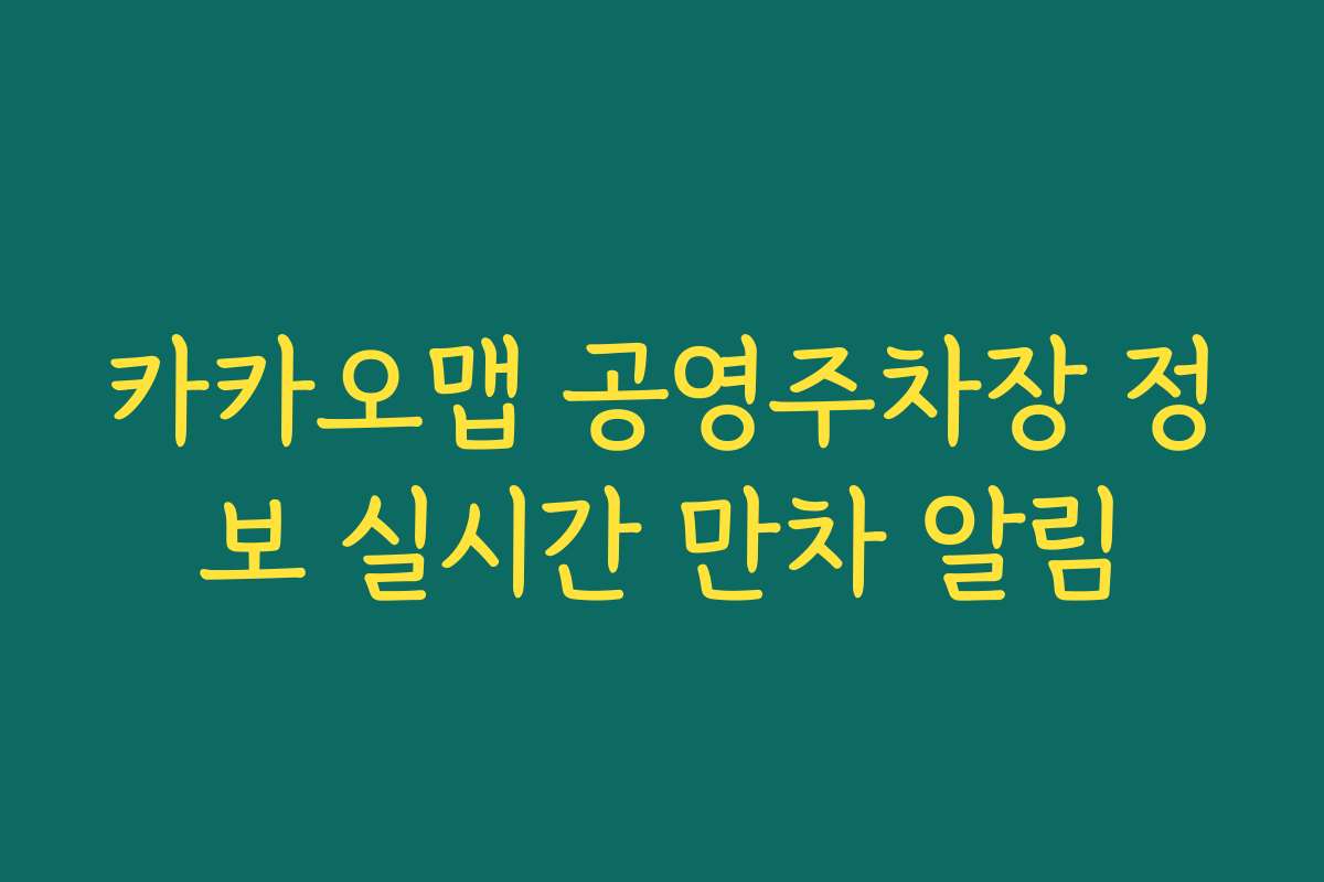 카카오맵 공영주차장 정보 실시간 만차 알림