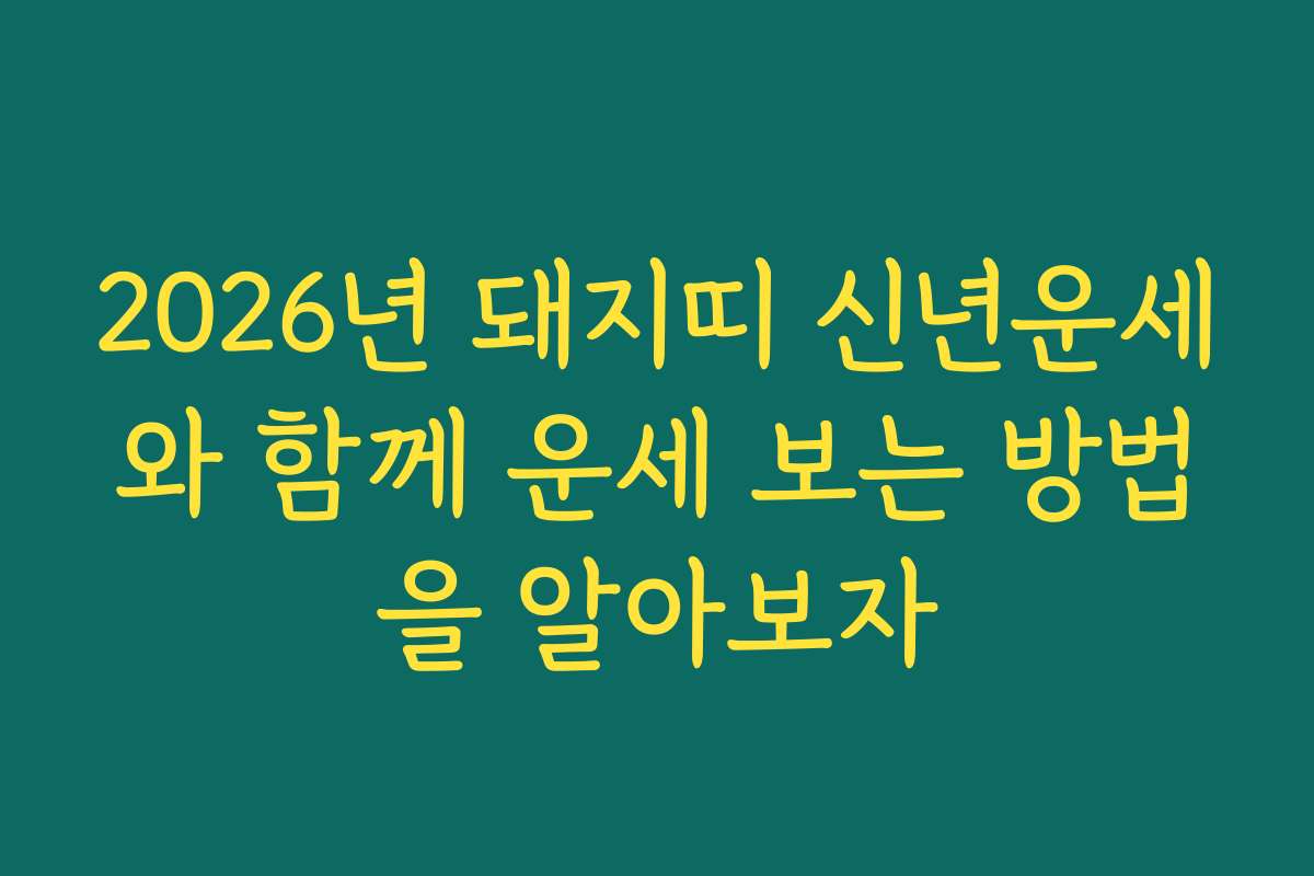 2026년 돼지띠 신년운세와 함께 운세 보는 방법을 알아보자