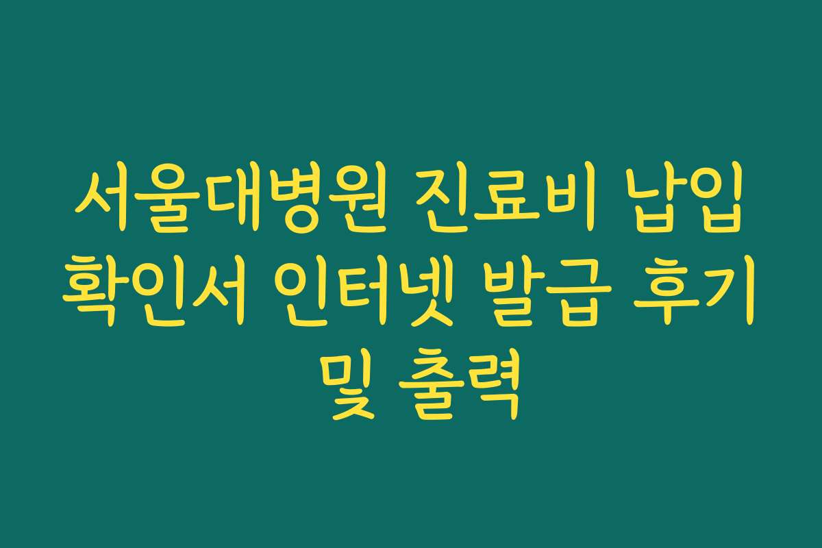 서울대병원 진료비 납입확인서 인터넷 발급 후기 및 출력