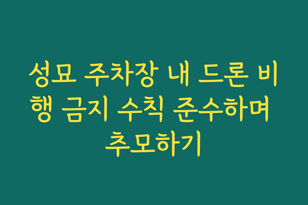 성묘 주차장 내 드론 비행 금지 수칙 준수하며 추모하기