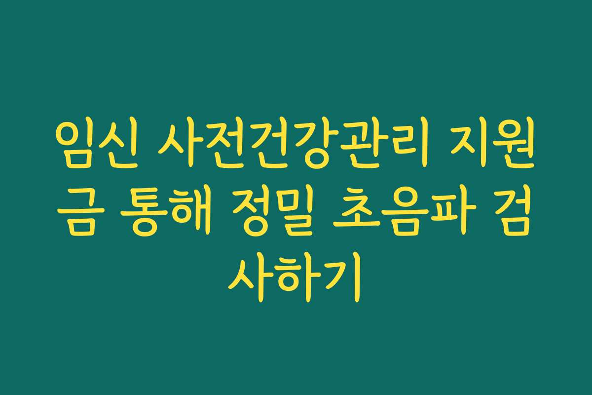 임신 사전건강관리 지원금 통해 정밀 초음파 검사하기