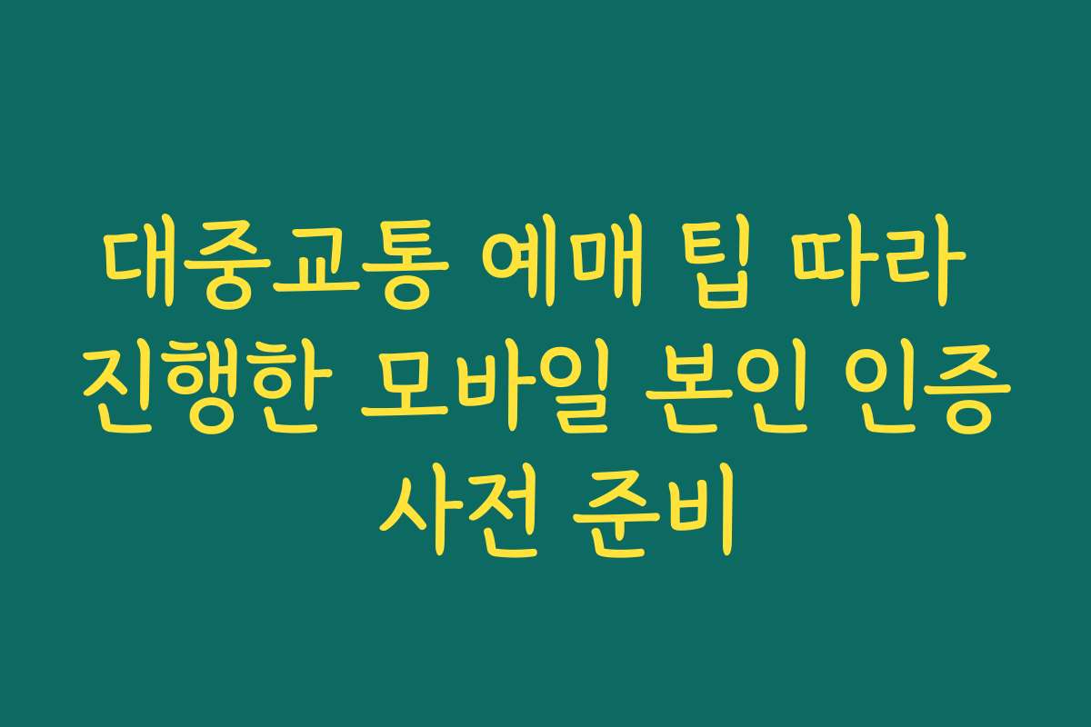 대중교통 예매 팁 따라 진행한 모바일 본인 인증 사전 준비