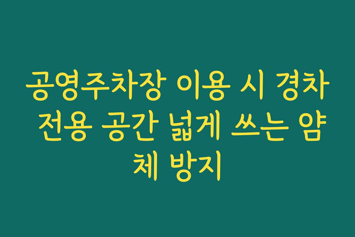 공영주차장 이용 시 경차 전용 공간 넓게 쓰는 얌체 방지