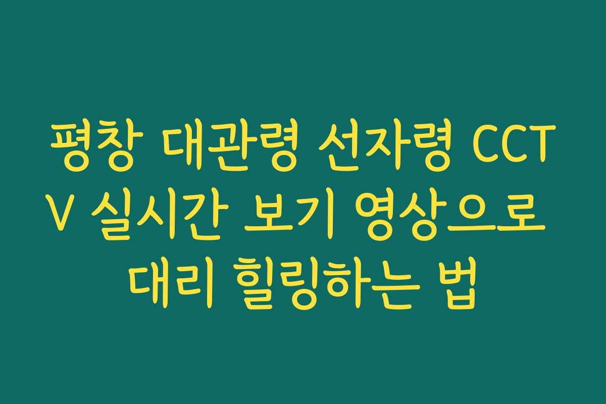 평창 대관령 선자령 CCTV 실시간 보기 영상으로 대리 힐링하는 법
