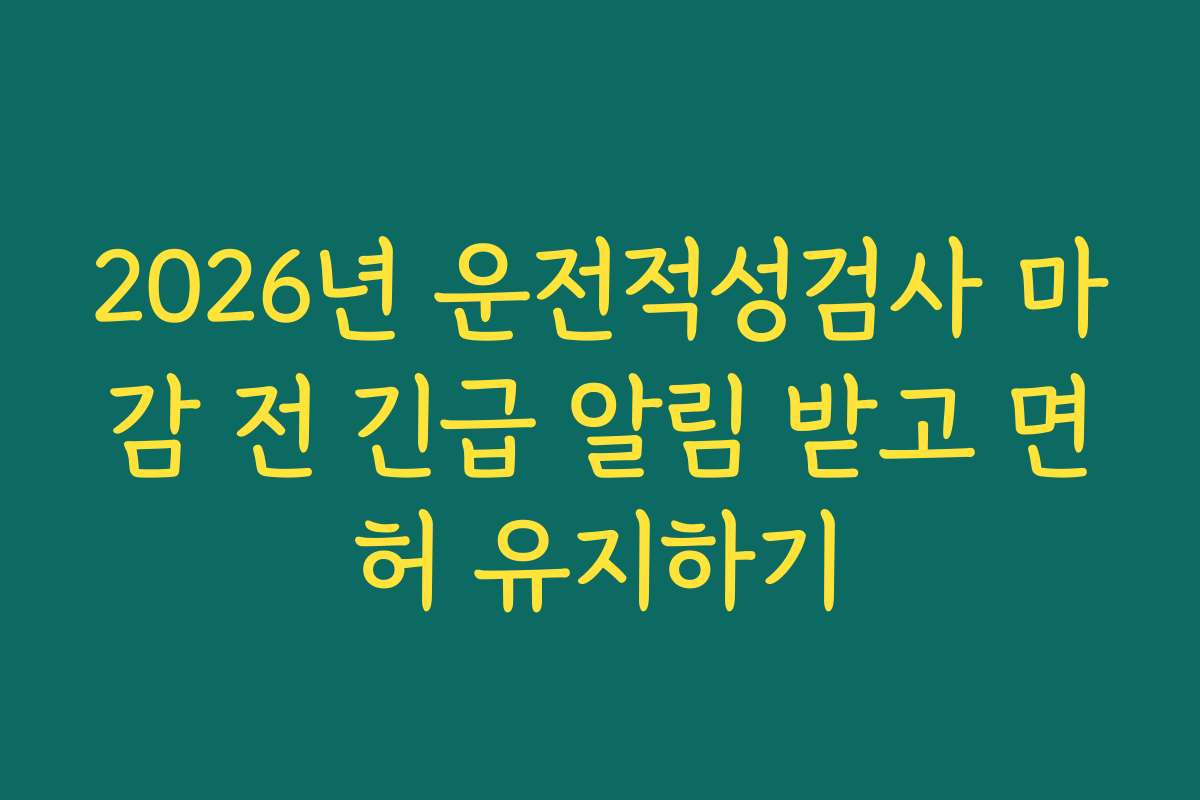 2026년 운전적성검사 마감 전 긴급 알림 받고 면허 유지하기