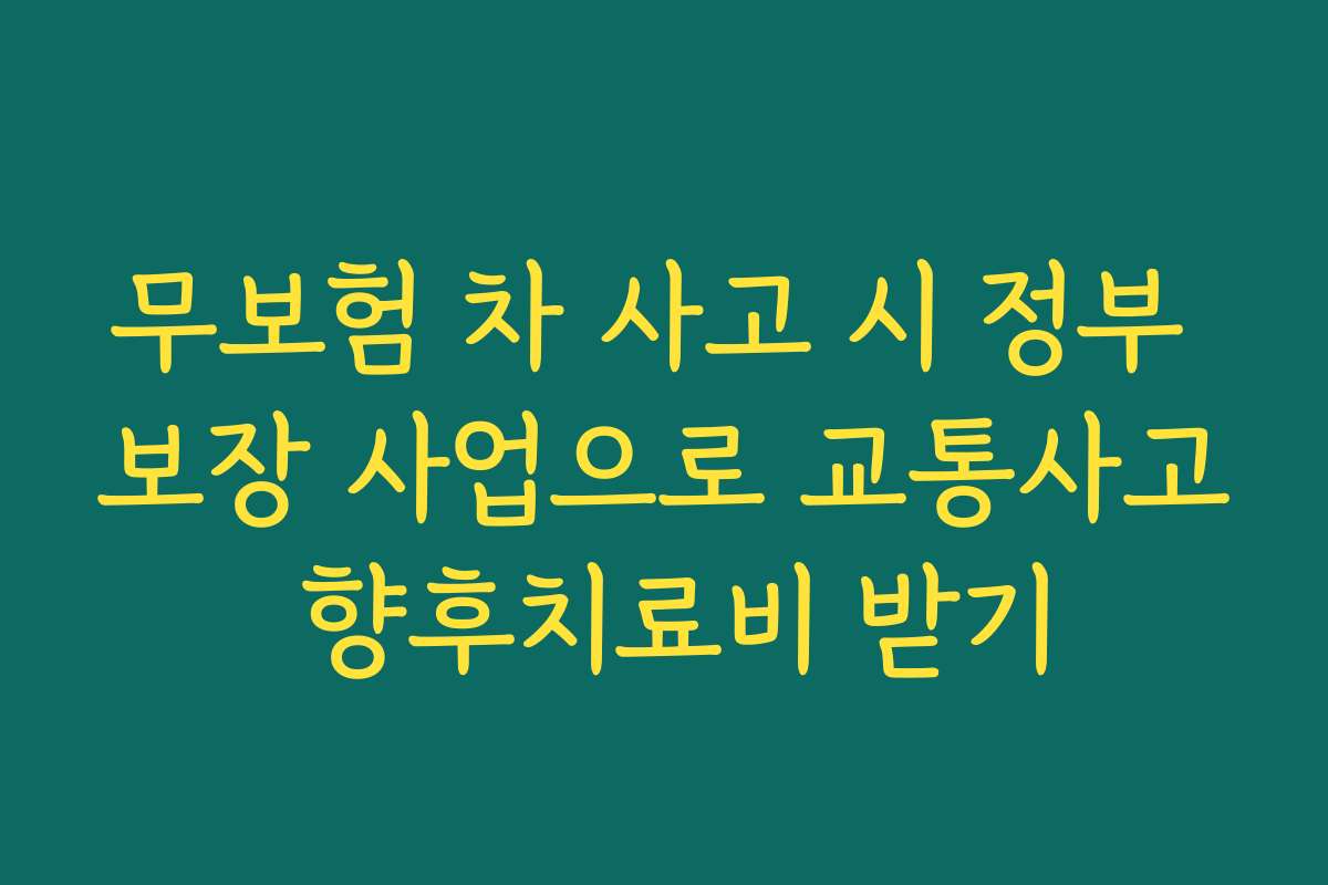 무보험 차 사고 시 정부 보장 사업으로 교통사고 향후치료비 받기