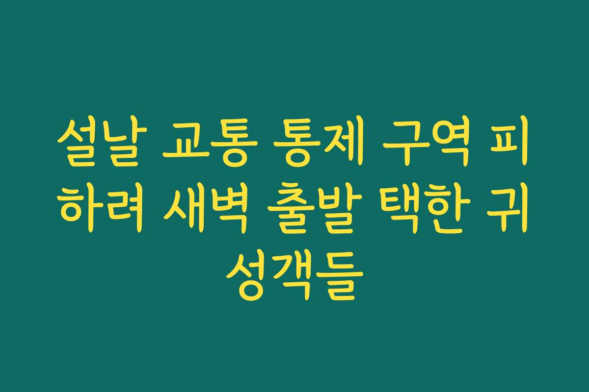 설날 교통 통제 구역 피하려 새벽 출발 택한 귀성객들