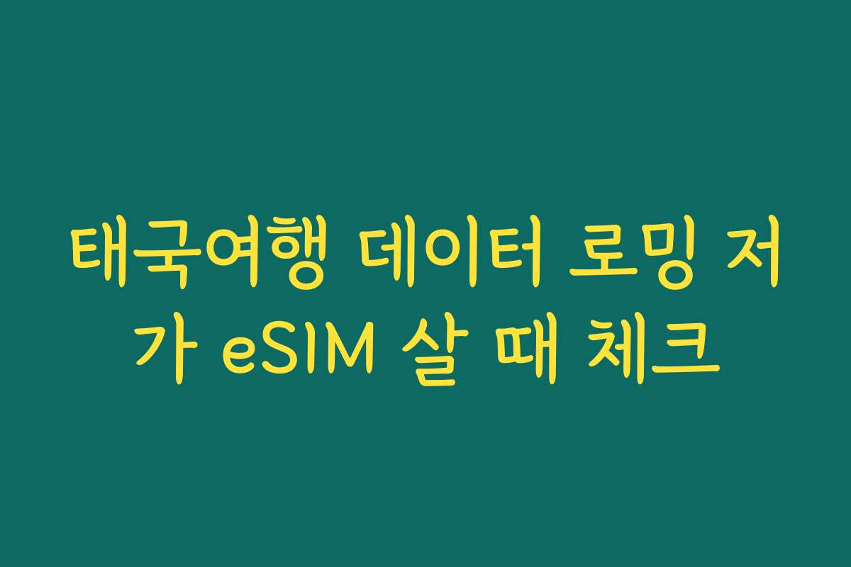 태국여행 데이터 로밍 저가 eSIM 살 때 체크
