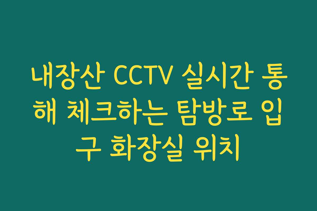 내장산 CCTV 실시간 통해 체크하는 탐방로 입구 화장실 위치