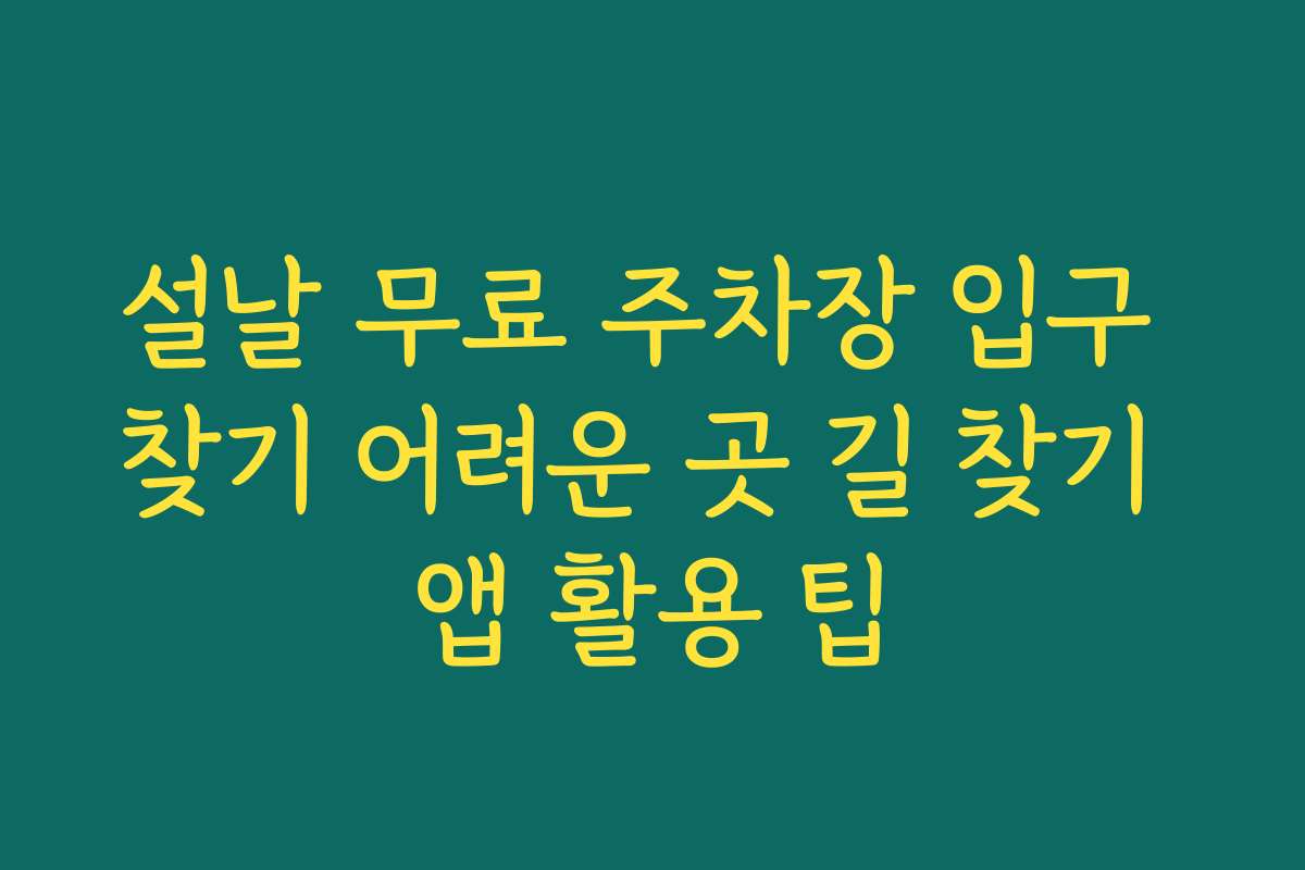 설날 무료 주차장 입구 찾기 어려운 곳 길 찾기 앱 활용 팁