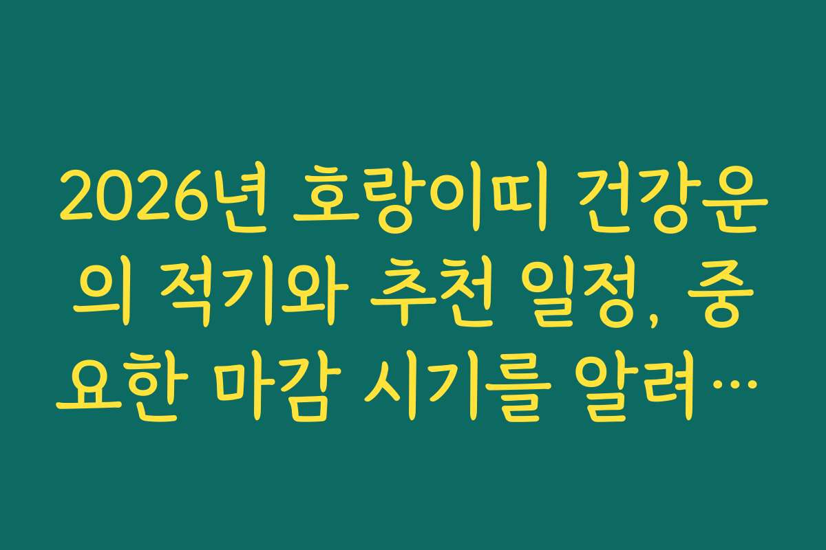 2026년 호랑이띠 건강운의 적기와 추천 일정, 중요한 마감 시기를 알려드립니다