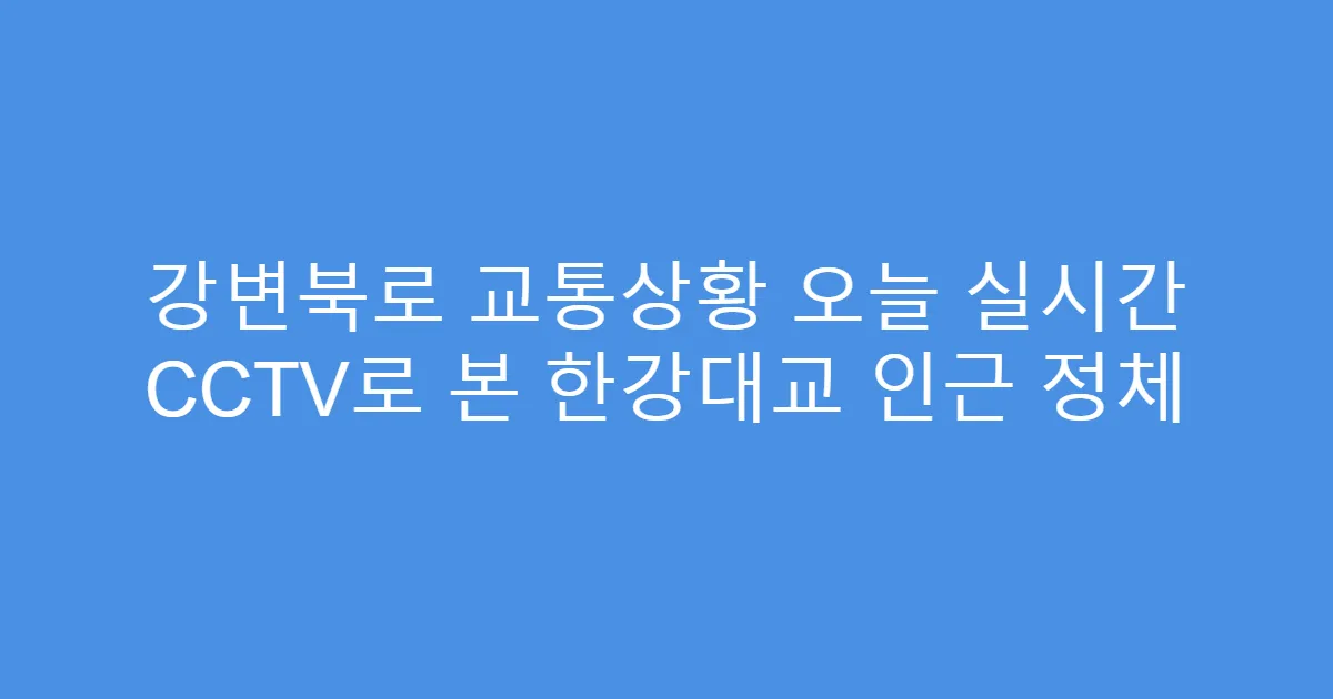 강변북로 교통상황 오늘 실시간 CCTV로 본 한강대교 인근 정체