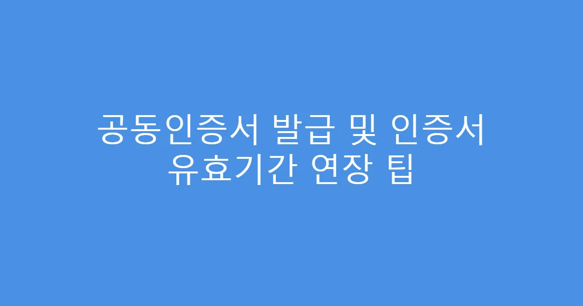 공동인증서 발급 및 인증서 유효기간 연장 팁