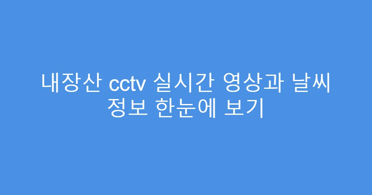 내장산 cctv 실시간 영상과 날씨 정보 한눈에 보기