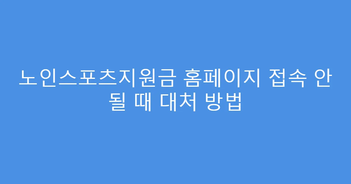 노인스포츠지원금 홈페이지 접속 안 될 때 대처 방법