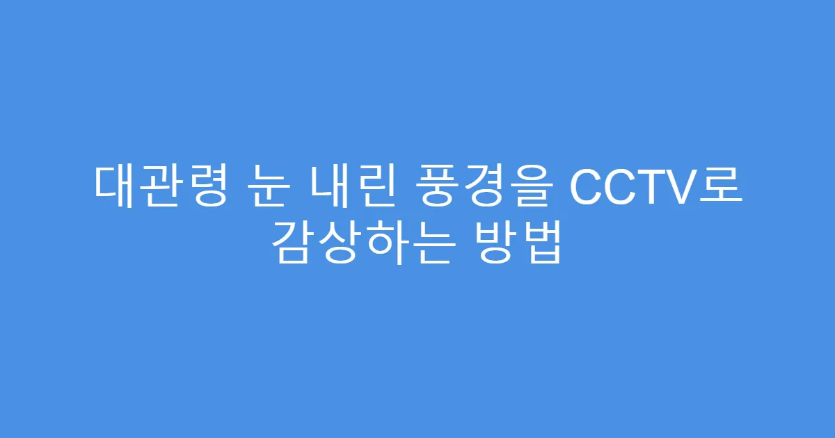 대관령 눈 내린 풍경을 CCTV로 감상하는 방법