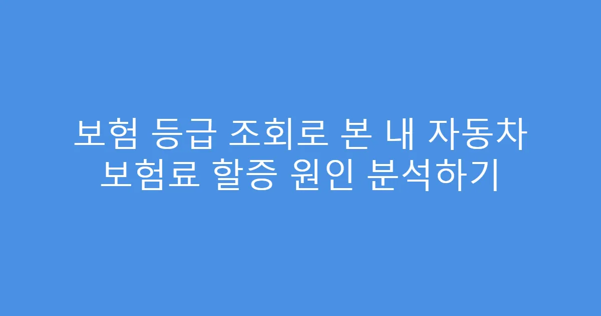 보험 등급 조회로 본 내 자동차 보험료 할증 원인 분석하기