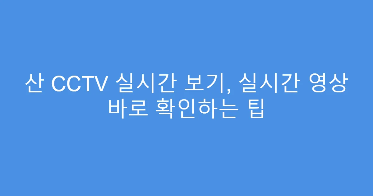 산 CCTV 실시간 보기, 실시간 영상 바로 확인하는 팁