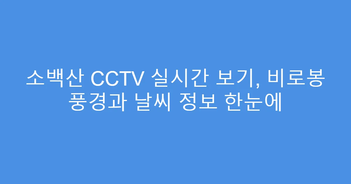 소백산 CCTV 실시간 보기, 비로봉 풍경과 날씨 정보 한눈에