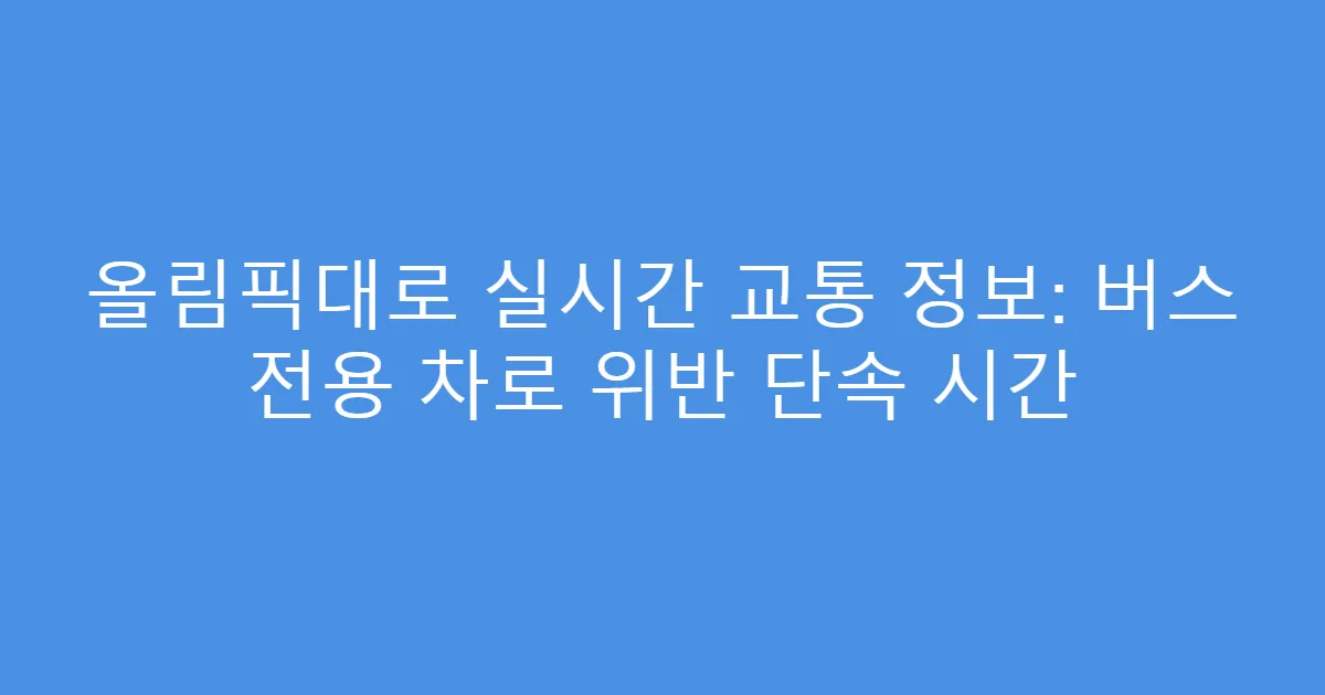 올림픽대로 실시간 교통 정보: 버스 전용 차로 위반 단속 시간