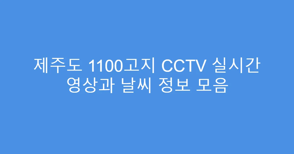 제주도 1100고지 CCTV 실시간 영상과 날씨 정보 모음
