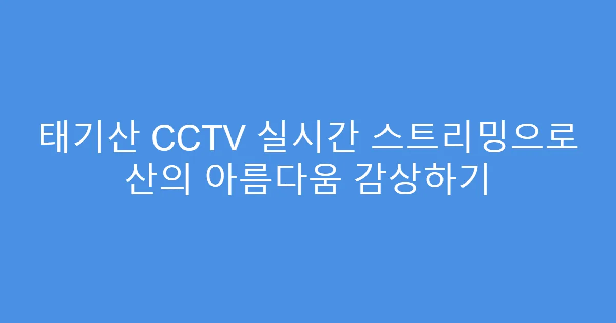 태기산 CCTV 실시간 스트리밍으로 산의 아름다움 감상하기