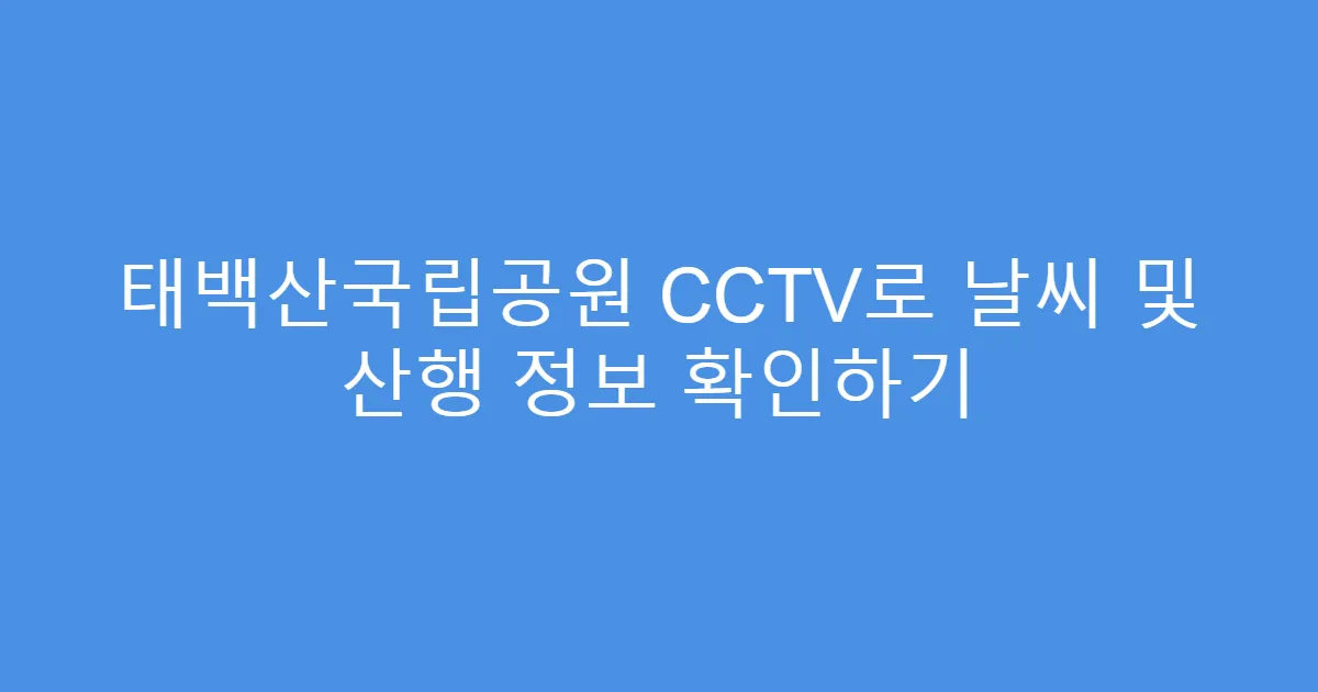 태백산국립공원 CCTV로 날씨 및 산행 정보 확인하기