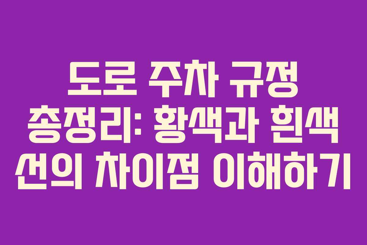 도로 주차 규정 총정리: 황색과 흰색 선의 차이점 이해하기