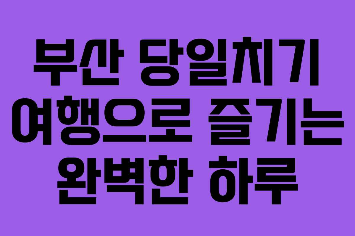 부산 당일치기 여행으로 즐기는 완벽한 하루