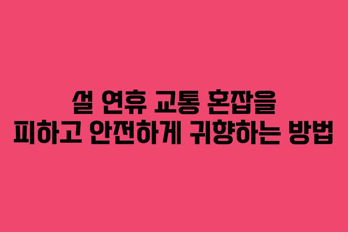 설 연휴 교통 혼잡을 피하고 안전하게 귀향하는 방법
