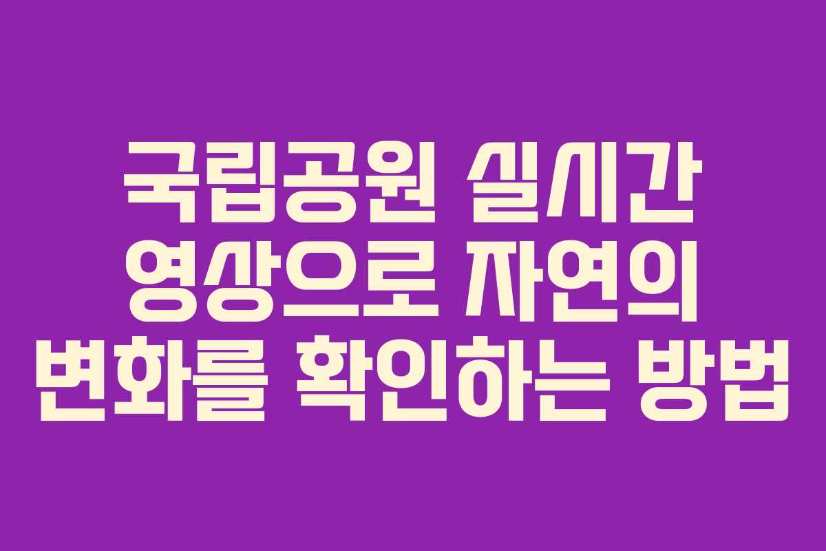국립공원 실시간 영상으로 자연의 변화를 확인하는 방법