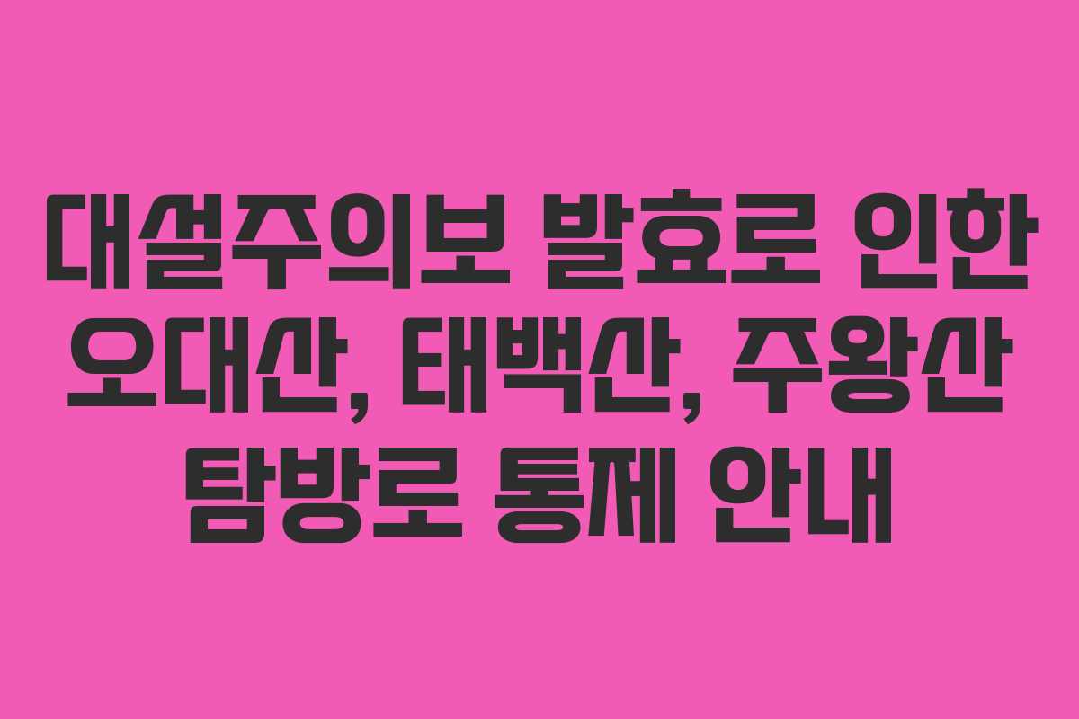 대설주의보 발효로 인한 오대산, 태백산, 주왕산 탐방로 통제 안내