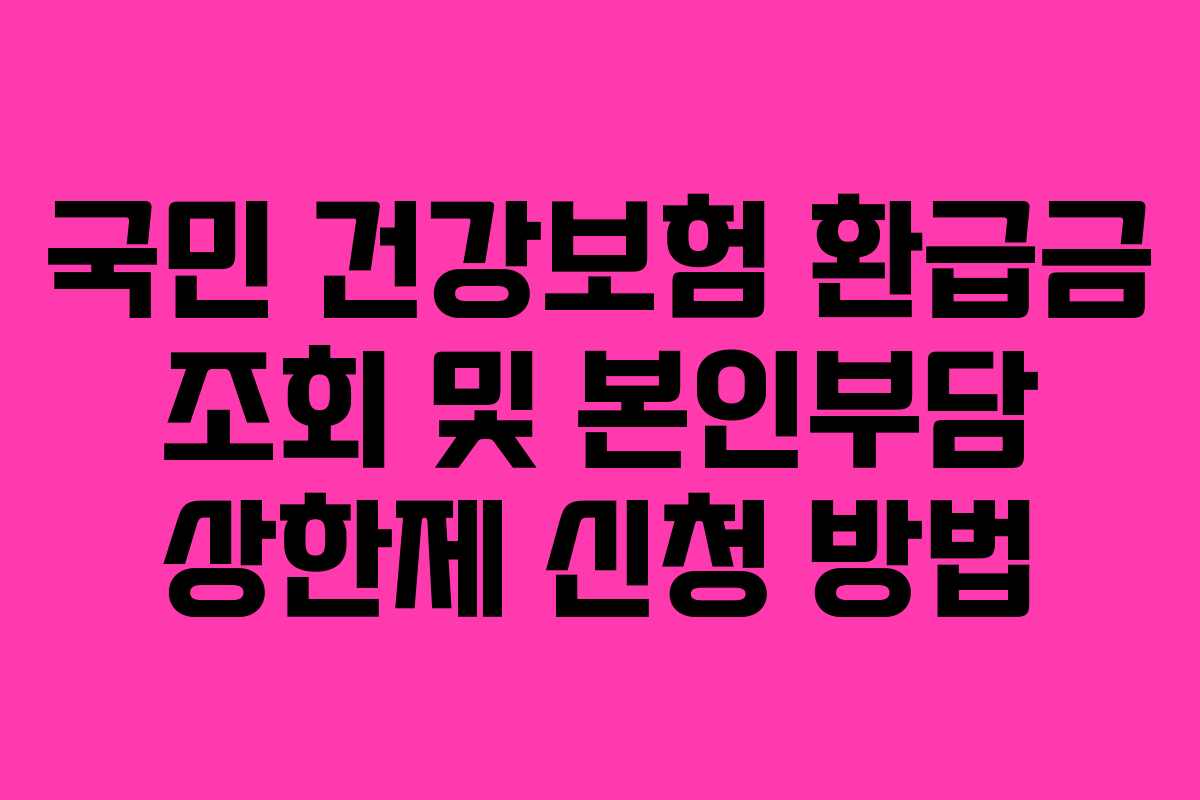 국민 건강보험 환급금 조회 및 본인부담 상한제 신청 방법
