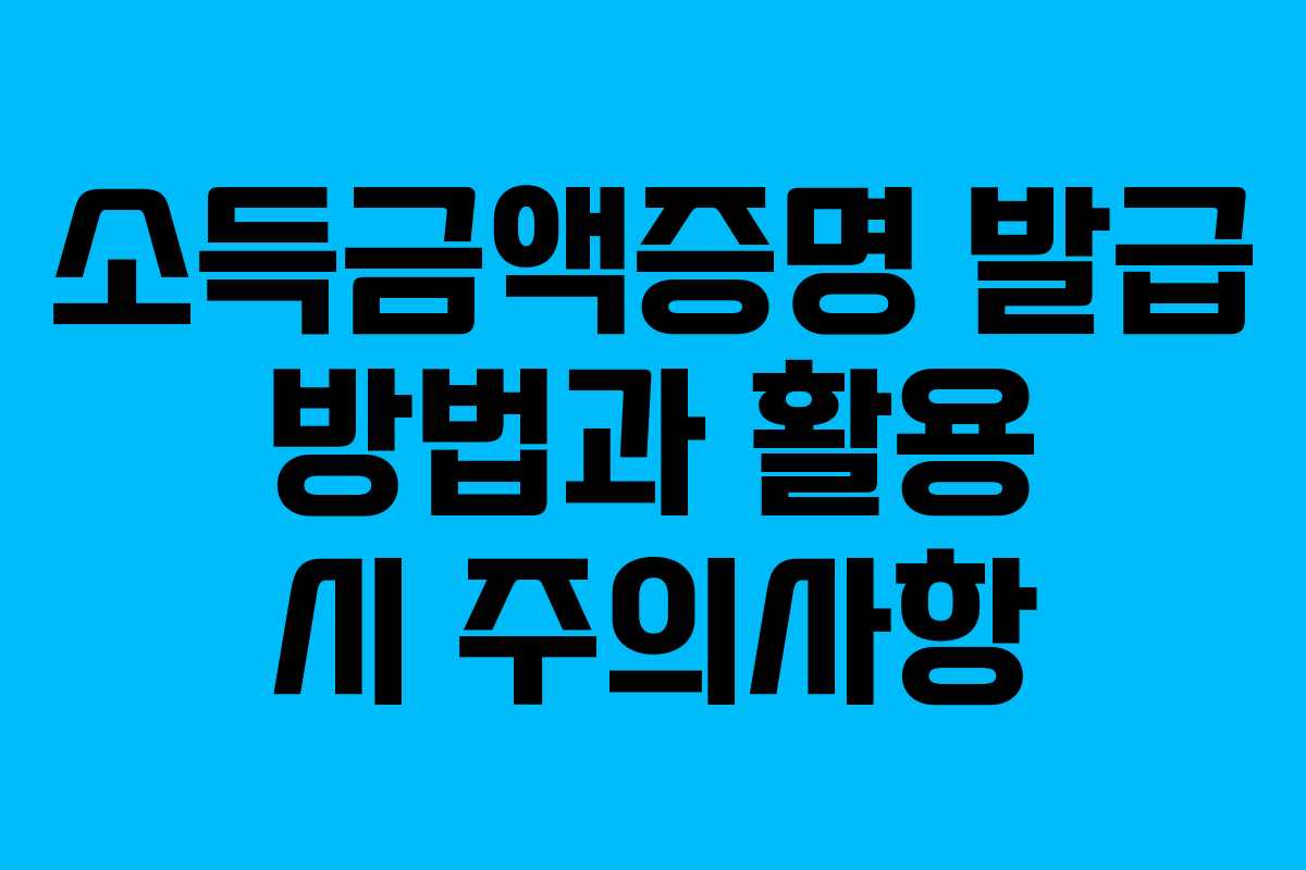 소득금액증명 발급 방법과 활용 시 주의사항