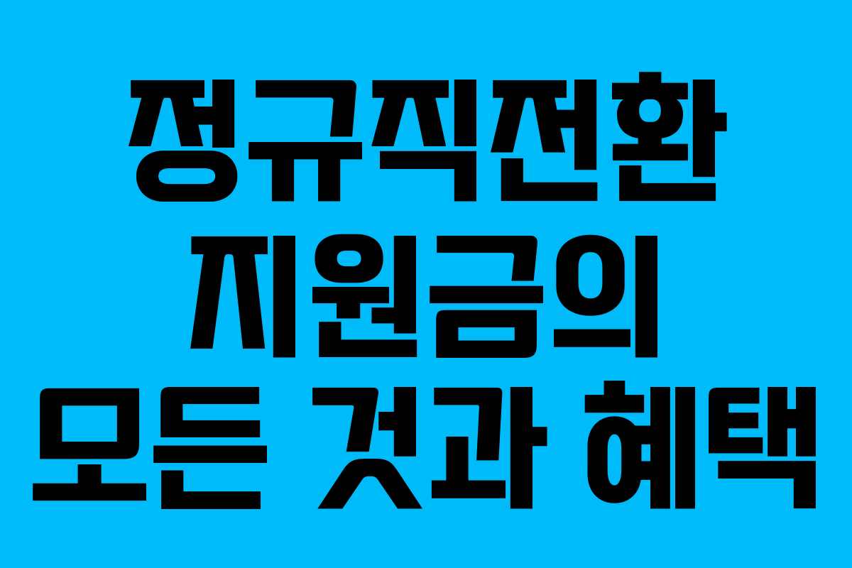 정규직전환 지원금의 모든 것과 혜택