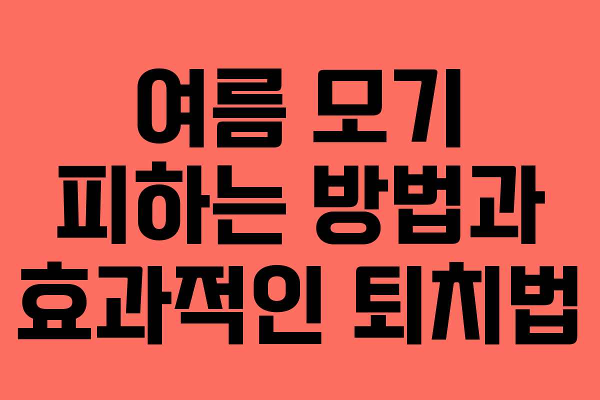 여름 모기 피하는 방법과 효과적인 퇴치법