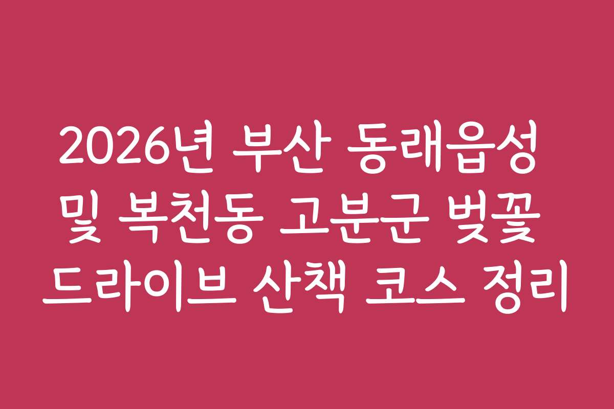 2026년 부산 동래읍성 및 복천동 고분군 벚꽃 드라이브 산책 코스 정리