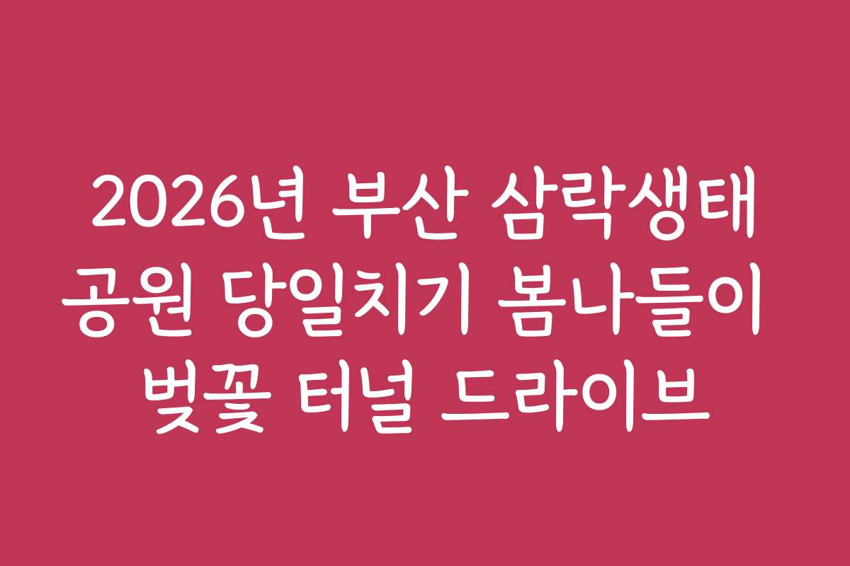 2026년 부산 삼락생태공원 당일치기 봄나들이 벚꽃 터널 드라이브