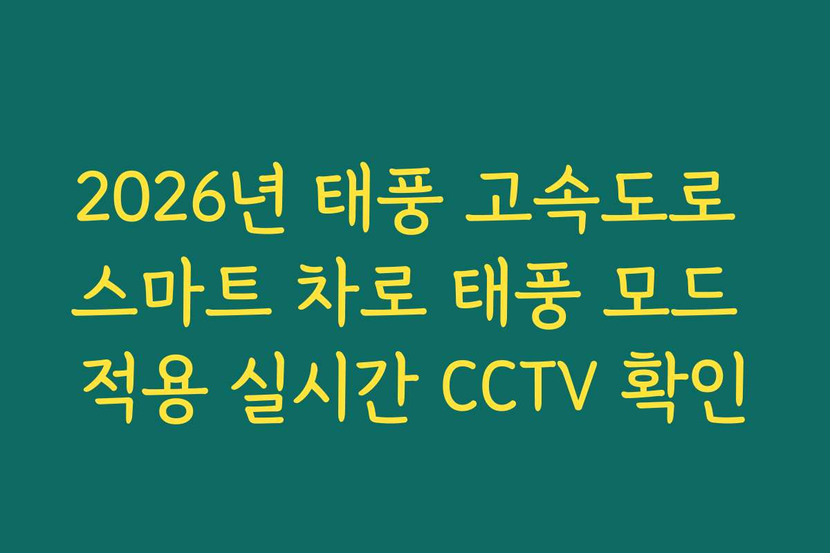 2026년 태풍 고속도로 스마트 차로 태풍 모드 적용 실시간 CCTV 확인